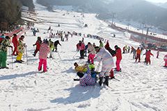 2015年12月，韩国之旅芝山滑雪